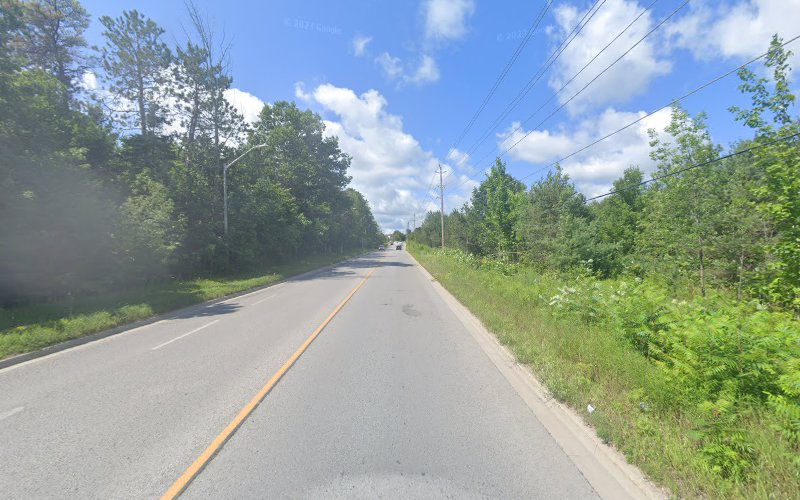 PetSmart Dog Training