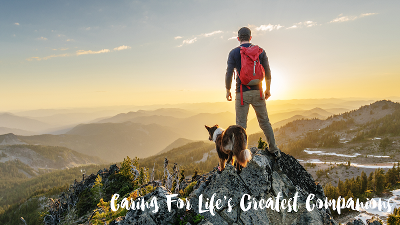 VCA Canada Calgary Animal Referral & Emergency Centre (CARE)