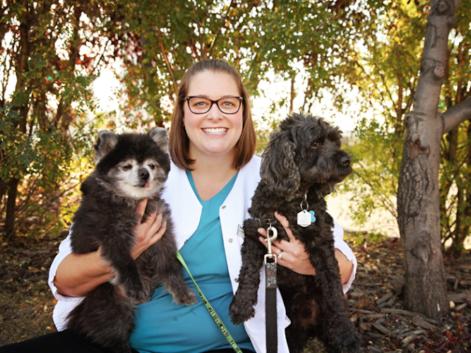 VCA Canada Landing Animal Hospital