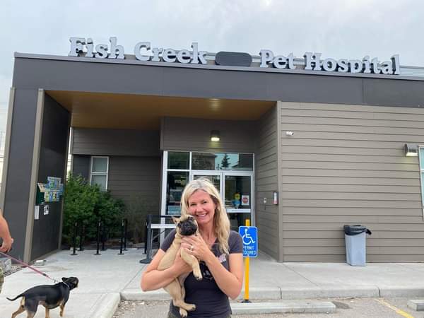 Fish Creek Pet Hospital