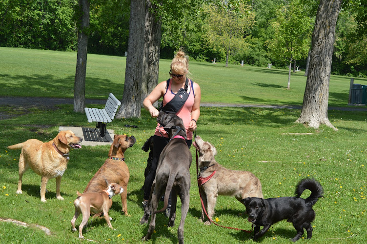 Vancouver Canine Dog Walking