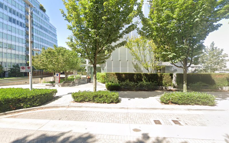 Olympic Village Dog Walking — Local Reliable Dog Walker