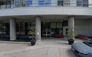 Companion Dog Walkers