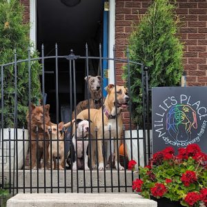 Millie’s Place 613