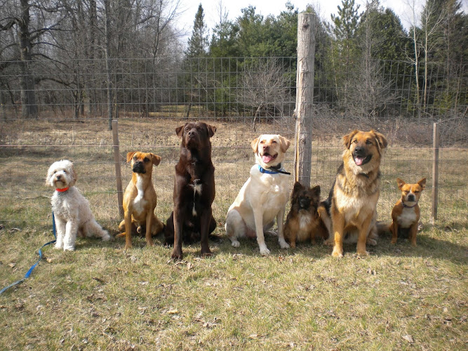 Beckwith Canine Services