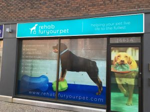 Rehab Fur Your Pet