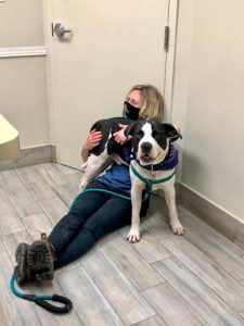 VCA Canada Pretoria Animal Hospital