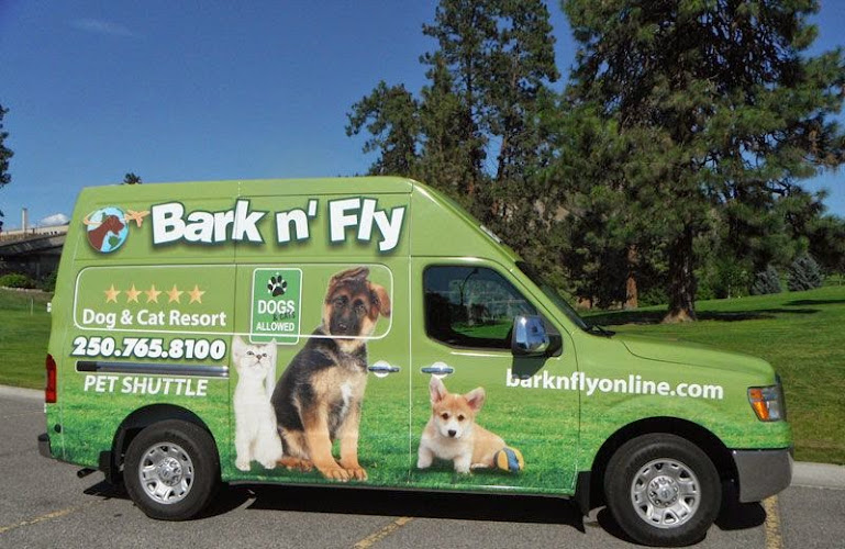 Bark n’ Fly Dog Daycare and Boarding