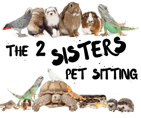 The 2 Sisters