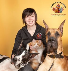 Global Pet Foods Hintonburg