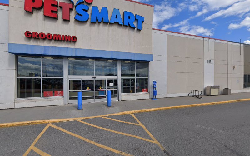PetSmart Dog Training