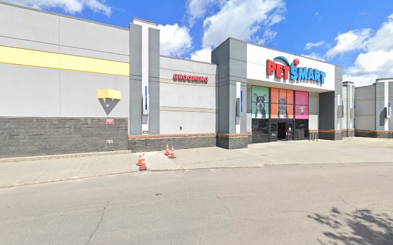 PetSmart Dog Training