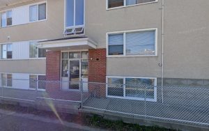 Compassion First Dog Training