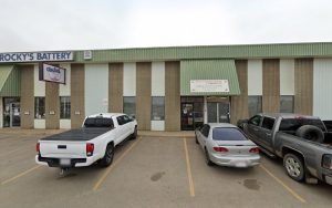 Canine Communication