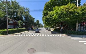 Mad About Mutts – Montreal Dog Walking & Pet Sitting