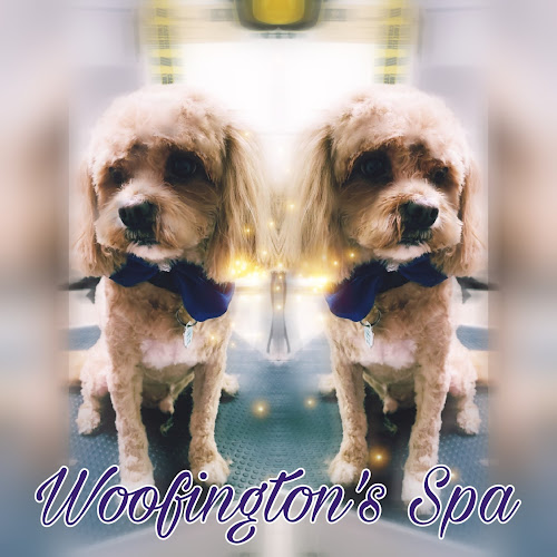 Woofington’s Spa And Boutique