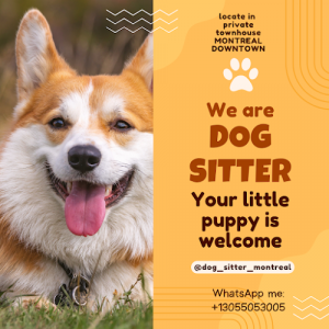 Dog Sitter Montreal