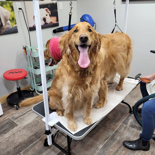 Fluff & Stuff Dog Grooming