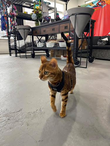 The Pet Store – Cadboro Bay Village