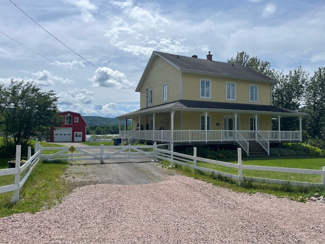 Pension Canine du Pont Flottant