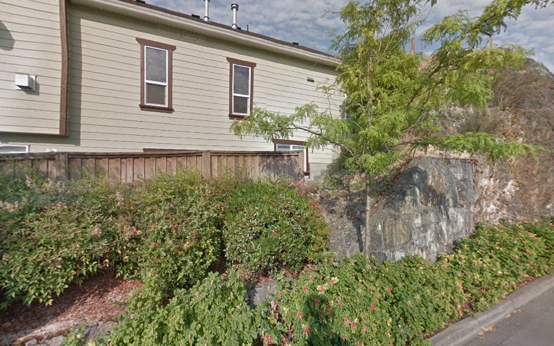 PetSmart Dog Training