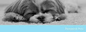 Pampered Pets