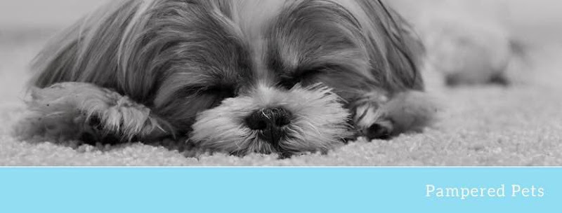 Pampered Pets