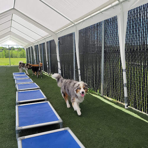 Hotel La Grange canine pension