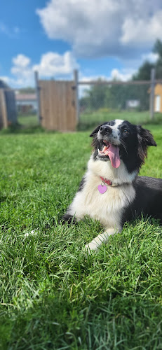 Centre Canin Sainte-Marguerite