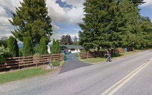 Lower Mainland Canine Academy