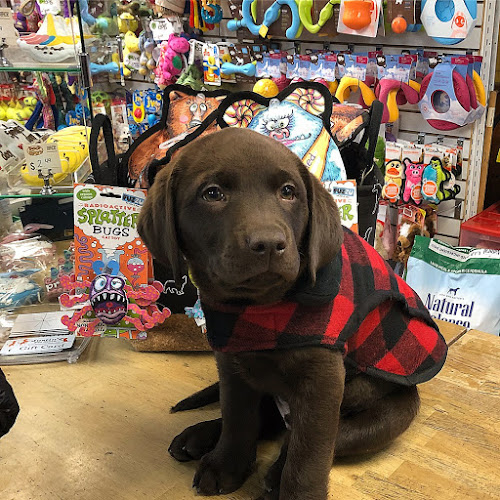 Justin’s Pet Store