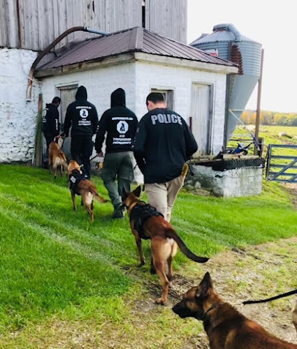 Working K9