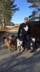 Bronx and Friends – Canada’s Dog Whisperer