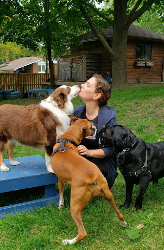 Easy Breezy Dog Training