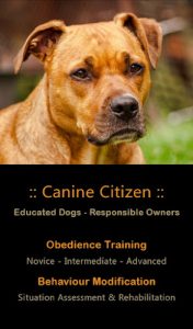 Canine CitiZen – Dog Training & Behaviour Specialist