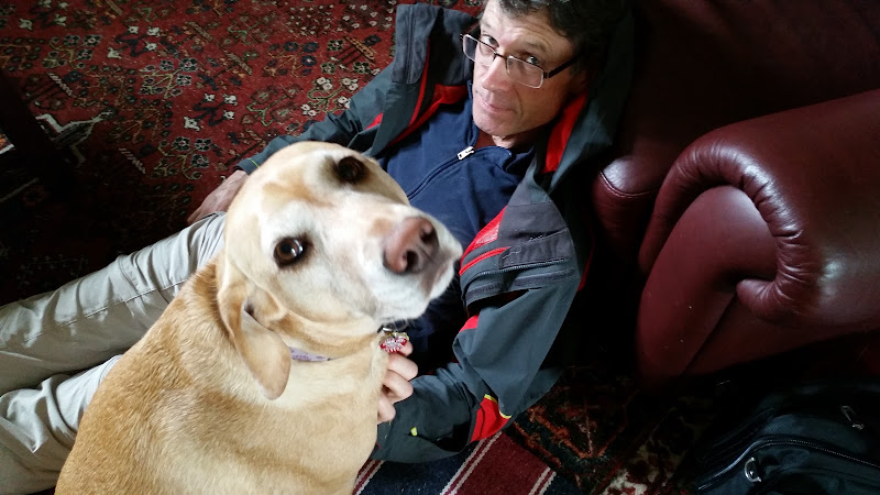 Waterloo Pet Services