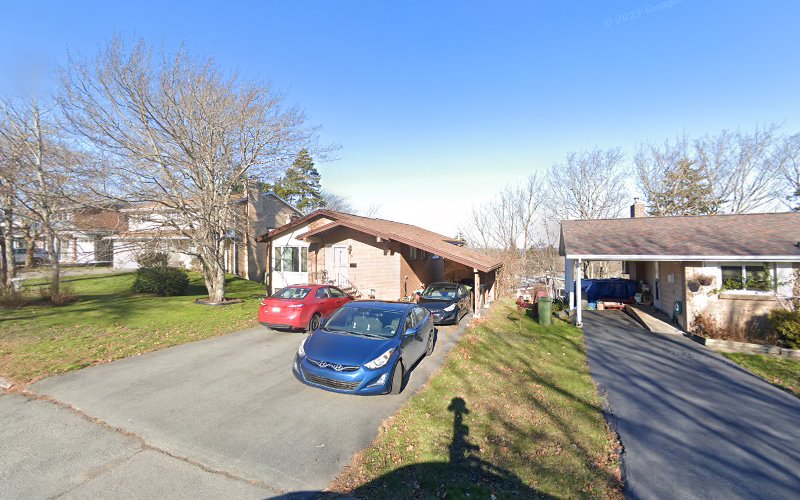 Heather’s Critter Cab and Pet Sitting Services