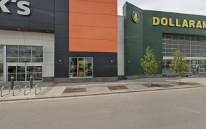 PetSmart Dog Training