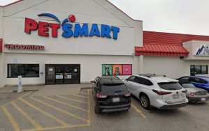 PetSmart Dog Training