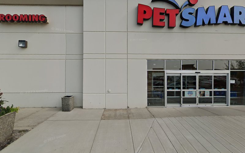 PetSmart Dog Training