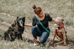 Partner in Paws Training & Behaviour