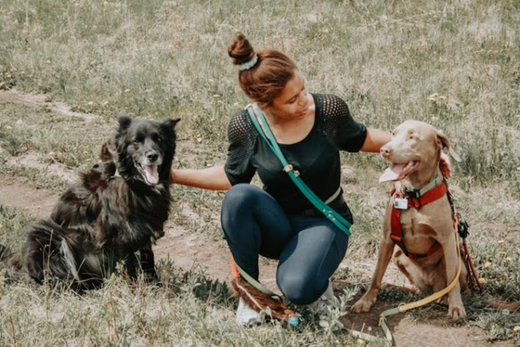 Partner in Paws Training & Behaviour