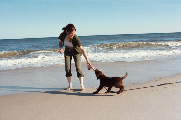 Off on the Right Paw – Dog Training Services