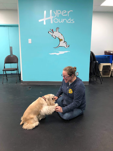 Hyper Hounds Dog Training