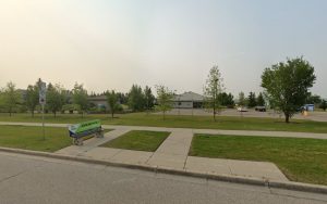 Life’s Ruff Dog training