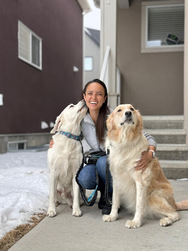 Mountain K9 Training – Calgary