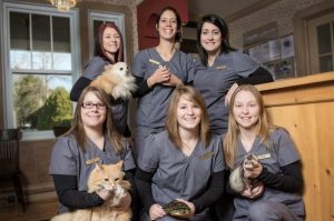 Veterinary Clinic Old Dorion