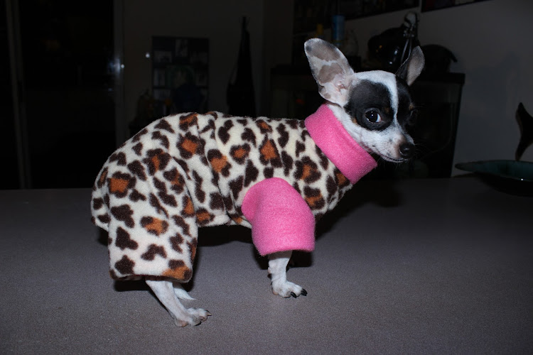 Craft Dog: Handmade Pet Supplies