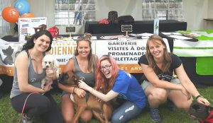 TOWN OF MOUNT ROYAL DOG WALKING AND PET SITTING
