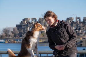 Pour l’Amour des Chiens / For the Love of Dogs